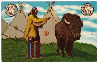 Indian Chief Iron Tail Indian On The Buffalo Nickel Oklahoma Postcard Vintage I