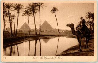 Vintage Cairo,  Egypt Postcard " The Pyramids Of Gizeh " Camel 1925 Cancel & Stamp