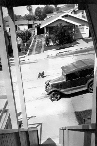 2 Vintage 1930 ' s Negative Photos of Boston Terrier Dog & Car House Glendale CA. 2