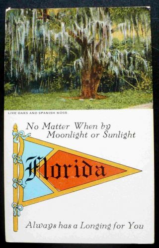 Old Florida Pennant And Greetings Card – Live Oaks And Spanish Moss