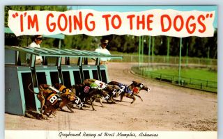 Vintage Postcard Going To The Dogs Greyhound Racing West Memphis Arkansas Ar