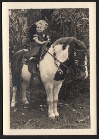Curly Hair Girl Wooly Chaps Cowboy Costume On Pony 1930s Vintage Photo
