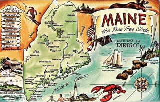 Maine The Pine Tree State Vintage Map Postcard Standard View Card