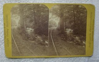 Stereoview Switchback Railroad View On Mauch Chunk Creek Lehigh Valley Railroad