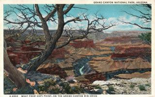 Vintage Postcard Looking West From Hopi Point Grand Canyon Rim Drive