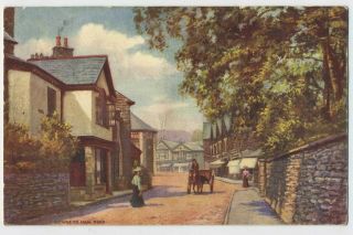 Main Road Bowness Windermere Cumberland Vintage Raphael Tuck Oilette Postcard B4