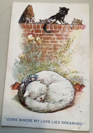 Vintage Cat Kitten Postcard Come Where My Love Lies London