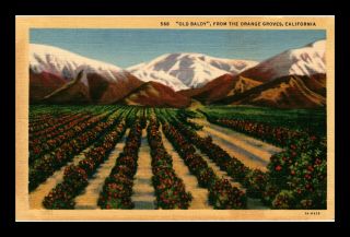 Us Linen Postcard Old Baldy Mountain And Orange Groves In California