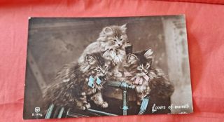 Vintage Cat Postcard.  Rppc.  Three Kittens.  Two With Bows.  British.  Pm 1916.