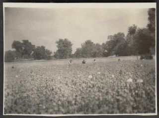 Kq21 China Hebei Yixian 河北易縣 1930s Photo Opium Poppy Field Outside Castle