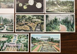 8 Vintage Postcards Missouri Botanical Garden Lithograph St.  Louis Missouri USA 2