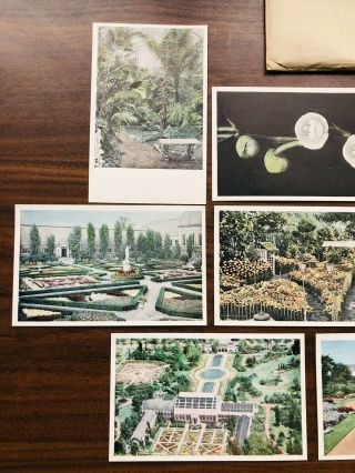 8 Vintage Postcards Missouri Botanical Garden Lithograph St.  Louis Missouri USA 3