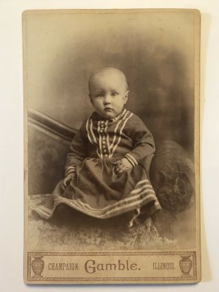Rare Antique Champaign Illinois Baby In Dress Cabinet Photo