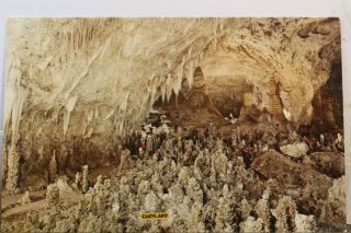 Mexico Nm Carlsbad Caverns National Park Fairyland Postcard Old Vintage Card