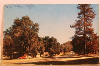 California Ca Pine Valley Highway 80 Postcard Old Vintage Card View Standard Pc