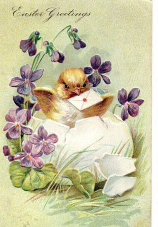 Vintage Easter Greeting Tuck Postcard: Chicks Hatching From Egg With Letter