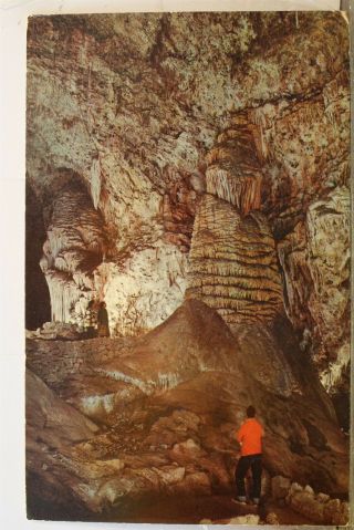 Mexico Nm Carlsbad Caverns National Park Rock Of Ages Postcard Old Vintage