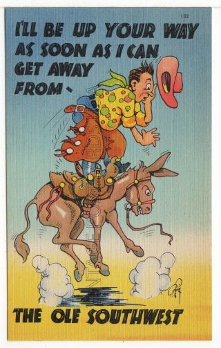 Comic Western Theme Cowboy & Horse Vintage Linen Postcard