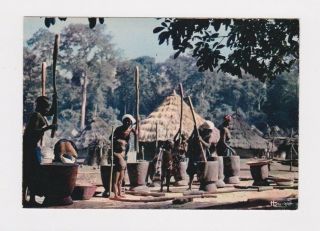 Vintage Africa Native Village Postcard Rppc Nude Grass Huts Culture