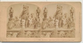 The Band By and for the Great Apes Hurst Kilburn Stereoview c1870 2