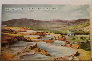 Yellowstone National Park Mammoth Hot Springs Pulpit Terrace Postcard Old View