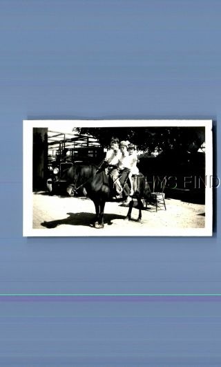 Found Vintage Photo G,  8730 Kids Sitting On Horse Together