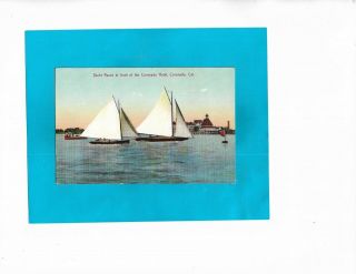 Vintage Postcard - Yacht Races In Front Of The Coronado Hotel,  Coronado,  Ca.