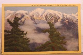 California Ca Mt Wilson Mount San Antonio Old Baldy Postcard Old Vintage Card Pc