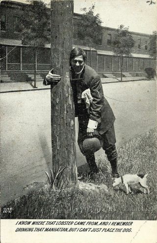 Comic Drunk Guy W/ Fox Rat Russell Terrier Dog Vintage 1910s Postcard