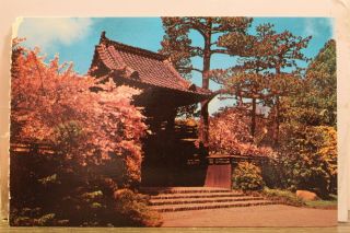 California Ca San Francisco Oriental Tea Garden Golden Gate Park Postcard Old Pc