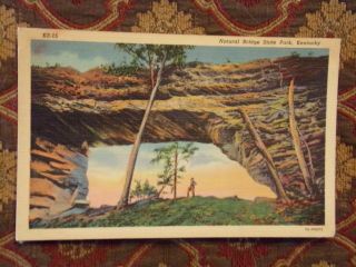 Vintage Postcard Natural Bridge State Park,  Kentucky