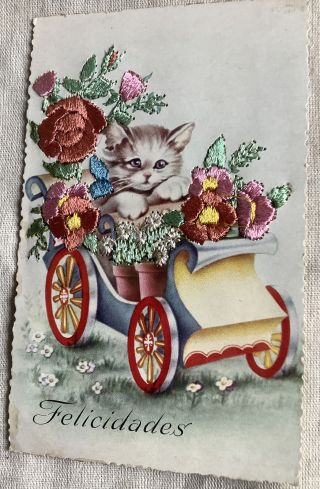 Vintage Cat Kitten Postcard Spanish Embroidered Flowers Congratulations