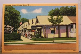 Jersey Nj Ocean Grove Tent Colony Postcard Old Vintage Card View Standard Pc