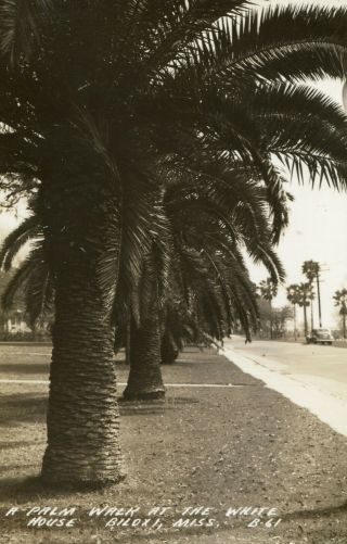 Vintage Rppc A Palm Walk At The White House Biloxi,  Miss 61 Postcard