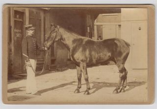 Military Cabinet Photo - French Cavalry Soldier With Mount By E.  Dietrich Of Paris