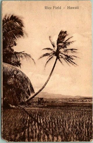 Vintage Hawaii Agriculture Postcard " Rice Field " / 1930 Singapore Cancel & Stamp