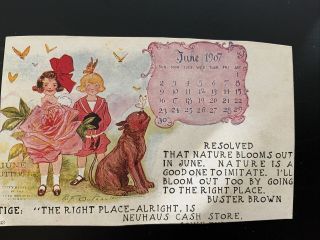 Vintage Postcard,  ©1906,  Buster Brown,  June Butterflies,  June 1907 Calendar