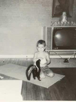 Antique Vintage Snapshot Photo Young Boy With Pet Skunk Petunia Animal
