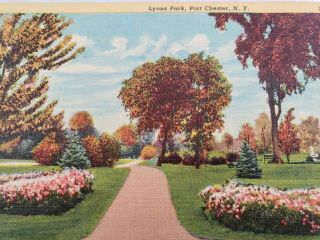 C 1940 Lyons Park Port Chester York Spring Flowers Vintage Linen Postcard