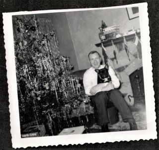 Antique Vintage Photograph Man Holding French Bulldog by Christmas Tree 2