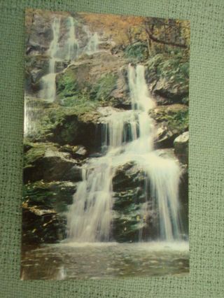 Vintage Postcard Dark Hollow Falls,  Skyline Drive,  Shenandoah National Park,  Va.