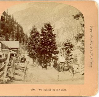 Colorado,  Girl Swinging On The Gate - - Kilburn 5342 Stereoview C60