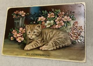 Vintage Cat Kitten Postcard Pink Flowers My Companion Embossed