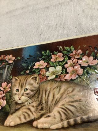 Vintage Cat Kitten Postcard Pink Flowers My Companion Embossed 2