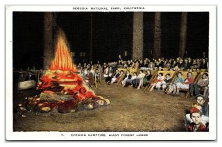 Sequoia National Park,  Ca Giant Evening Campfire Forest Lodge Vintage Postcard
