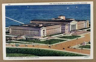 Vintage Postcard The Field Museum Of Natural History Chicago Ill Illinois Linen