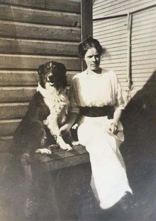 1911 Vtg Photo Young Edwardian Lady Poses With Beloved Dog