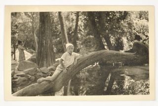 Vintage Photo Little Boy Sitting On A Tree Of The Ussr 1950s