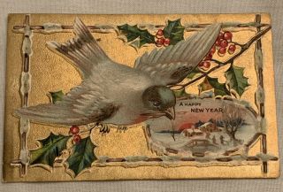 Year Bird Series White Bird On Holly Farm Inset Embossed Vintage Postcard