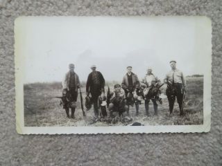 Vintage 1930s 1940s Photo Hunting Party Pheasants Hunters Rifles With Limit